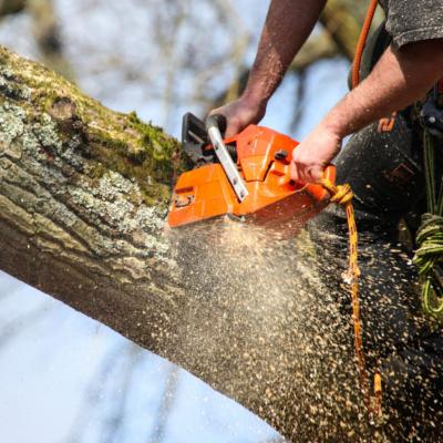 Broadacre Tree Service