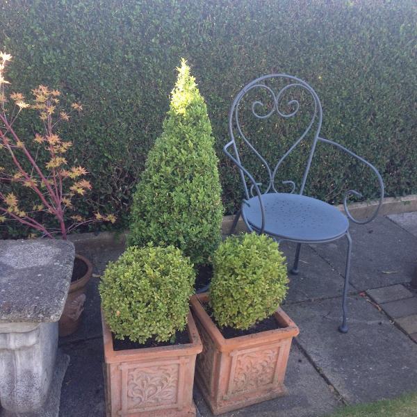 North West Topiary