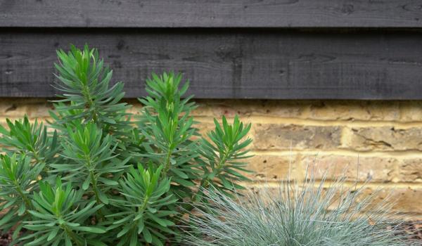 Koala Landscapes Pty Ltd