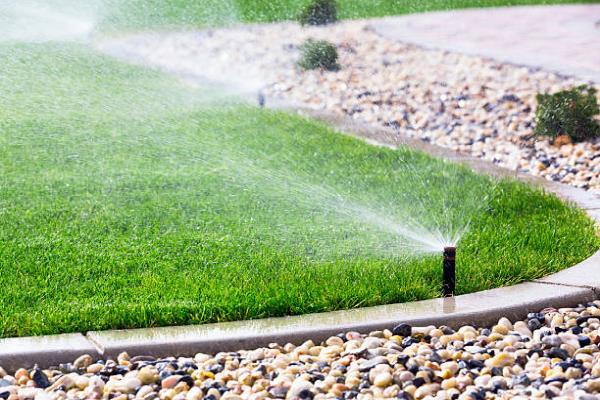 Oasis Watering Ltd