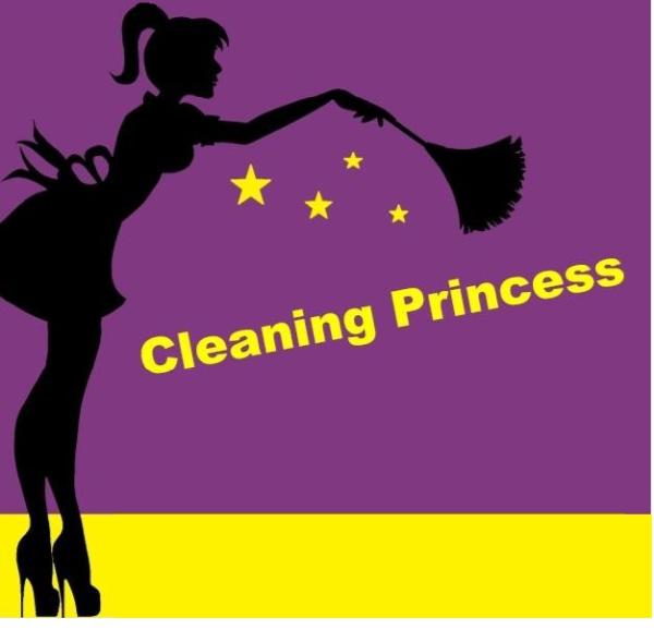 Cleaning Princess