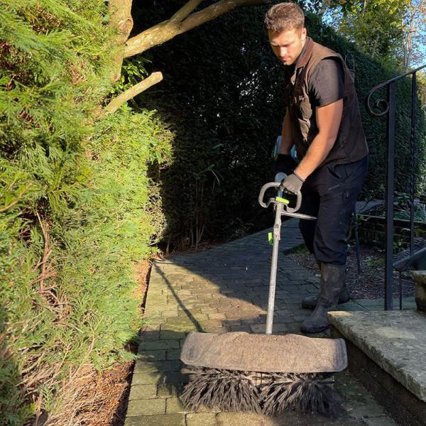 Willow Alexander Gardeners