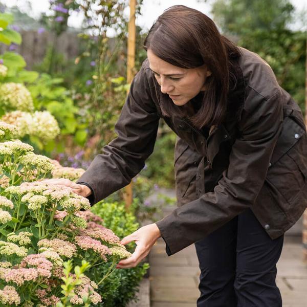 Willow Alexander Gardeners