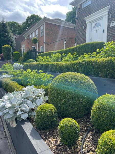 Willow Alexander Gardeners