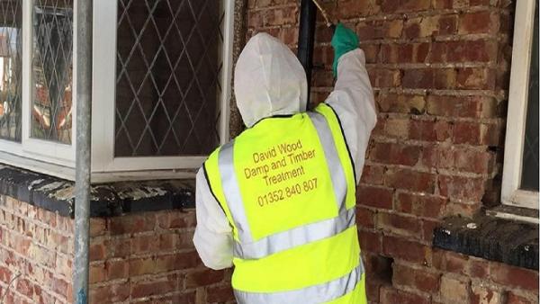 David Wood Damp & Timber Treatments