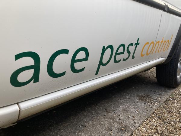 ACE Pest Control