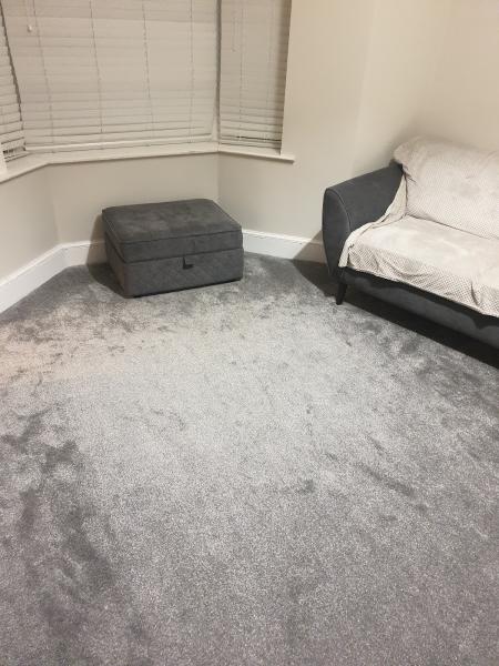 Deluxe Carpets