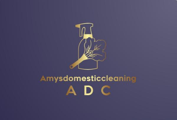 Amy's Domestic Cleaning