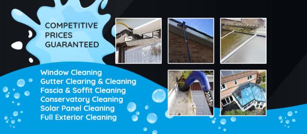 Freeman's Window Cleaning Services