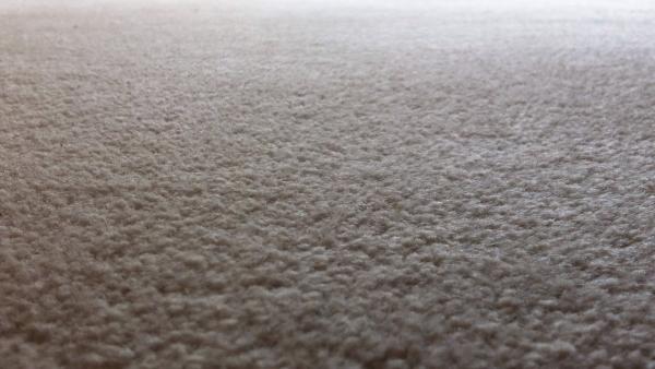 Drymaster Carpet Cleaning