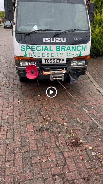 Special Branch Tree Services and Ground Maintenance