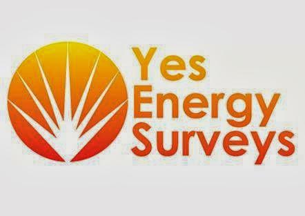 Yes Energy Surveys