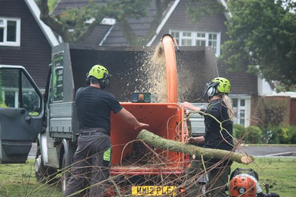 Acme Tree Services Ltd