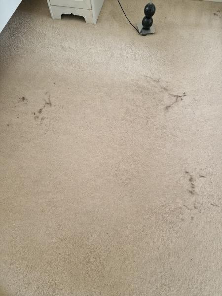 Clifton Carpet Cleaning