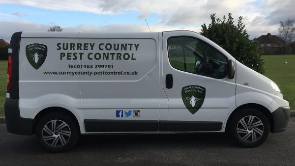 Surrey County Pest Control