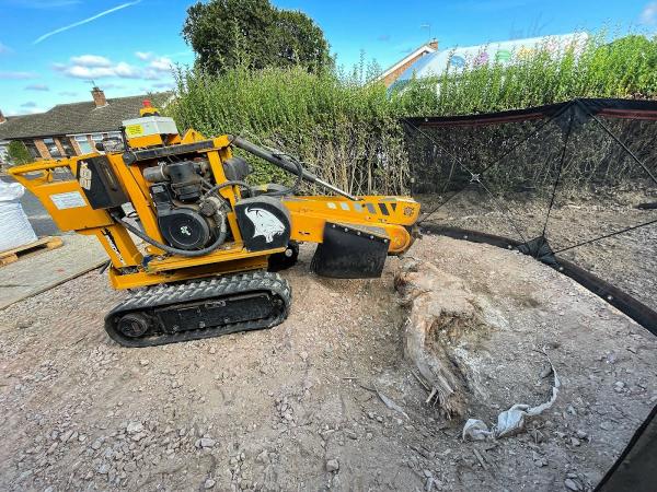 Tree Frog Tree Services