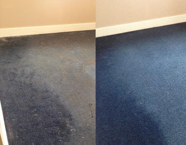 Ecoclean Carpet & Upholstery Care