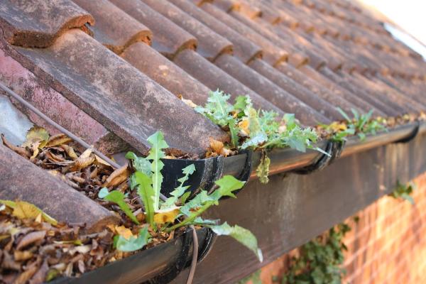 Gutter Cleaning Bideford