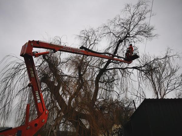 Aerial Arborists Ltd