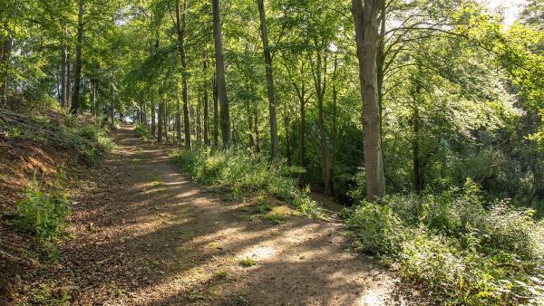 The Bramham Park Estate