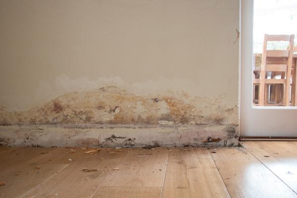 Everdry Damp Solutions