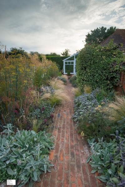 Daniel Shea Garden Design