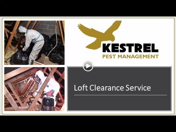 Kestrel Pest Management