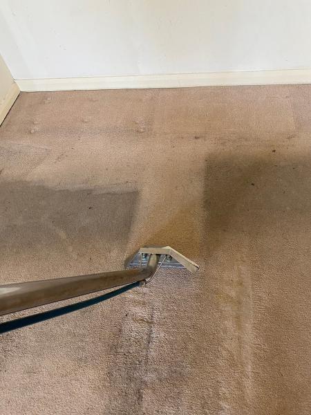 Professional House & Carpet Cleaning