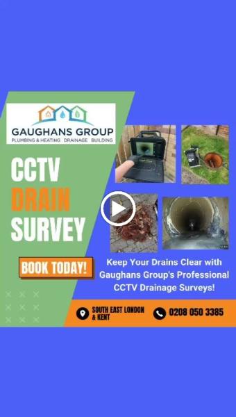 Gaughans Group