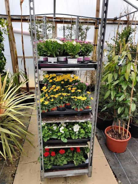 Hassett Plant Centre