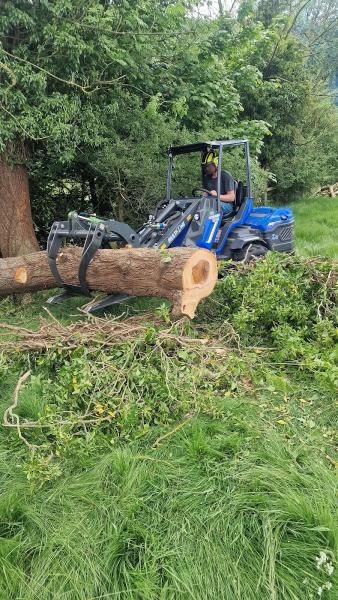 Bilsdale Tree Services