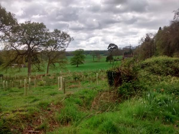 The Gerald Palmer Eling Trust