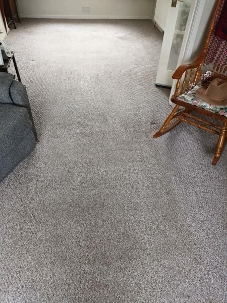 Carpet Pro Belfast