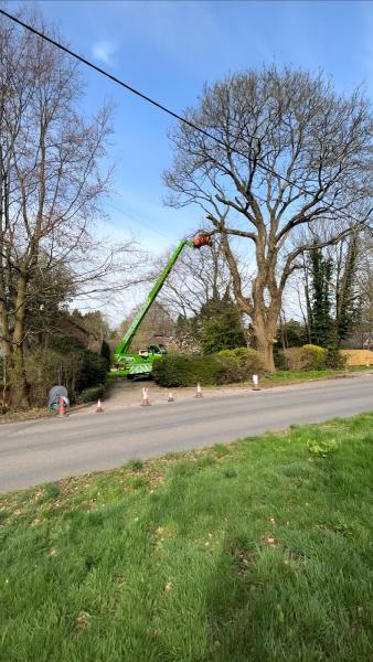 JH Tree Services Hampshire Ltd