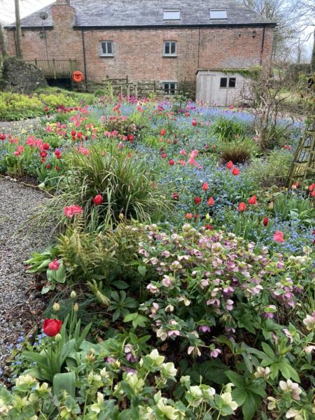 Cornish Garden Team