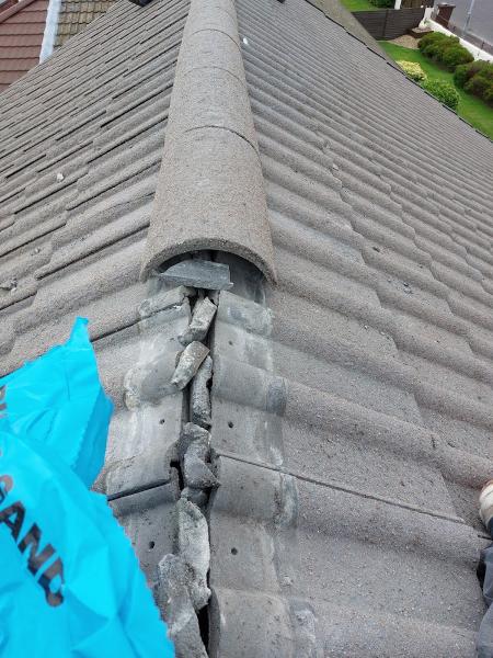 Roofline Property Services