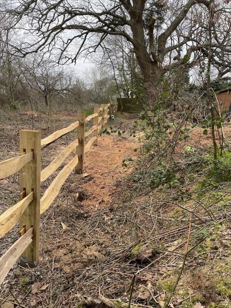 GND Tree Surgery