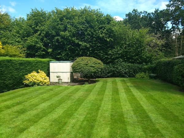 Thornwood Garden Services