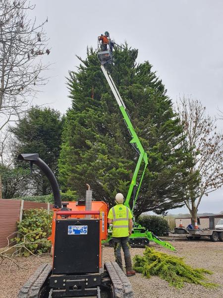 Tree Care Extraordinaire