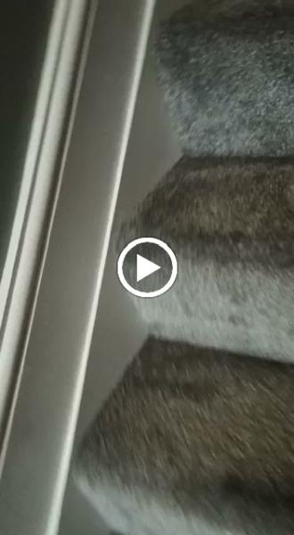 Happy Familly Cleaning LTD