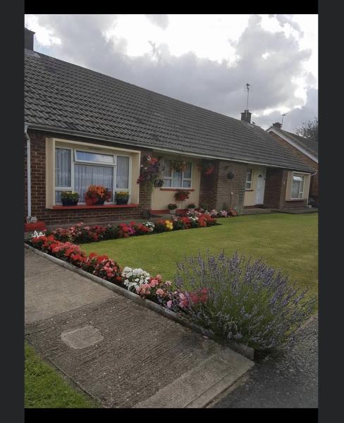 Mac Landscapes & Maintenance