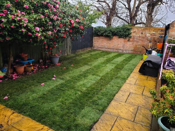 Tidy Lawns