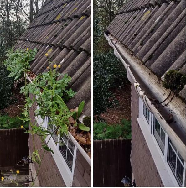 Top Gutters