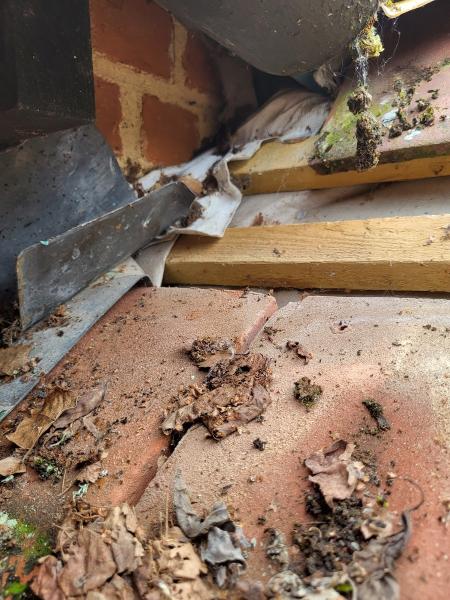 A & N Engineering (Bedfordshire) Ltd