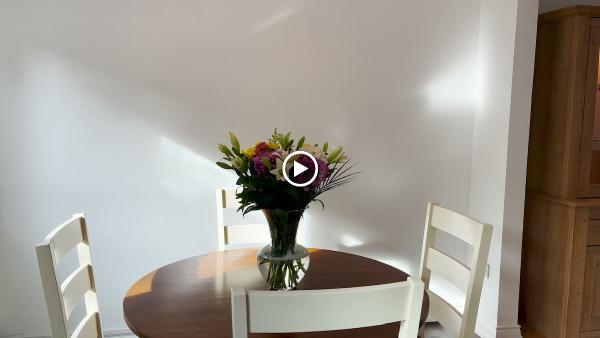 Leisure Construction Ltd