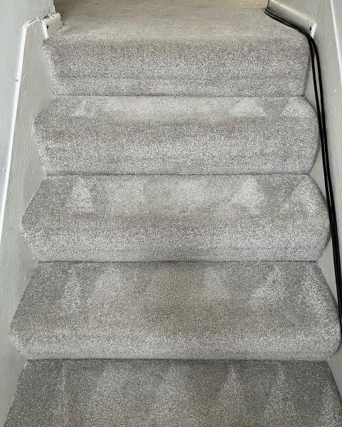 Carpet Cleaning Solutions Made Simple Ltd