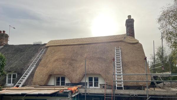 Ben Collyns Thatching