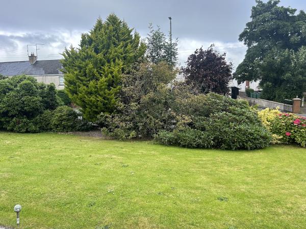 AJM Tree Surgery & Landscaping Ltd