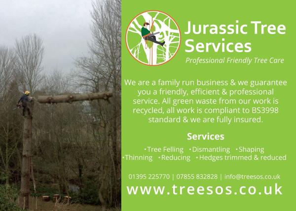 Jurassic Tree Services Ltd