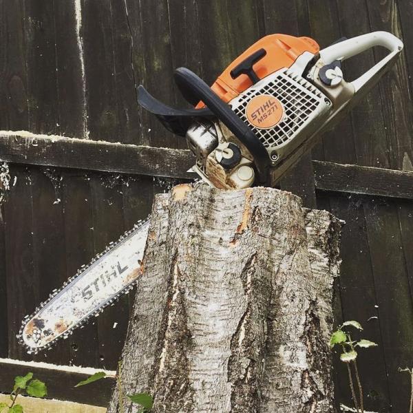 Wirral Tree Surgeon